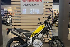 Yamaha Tricker 250